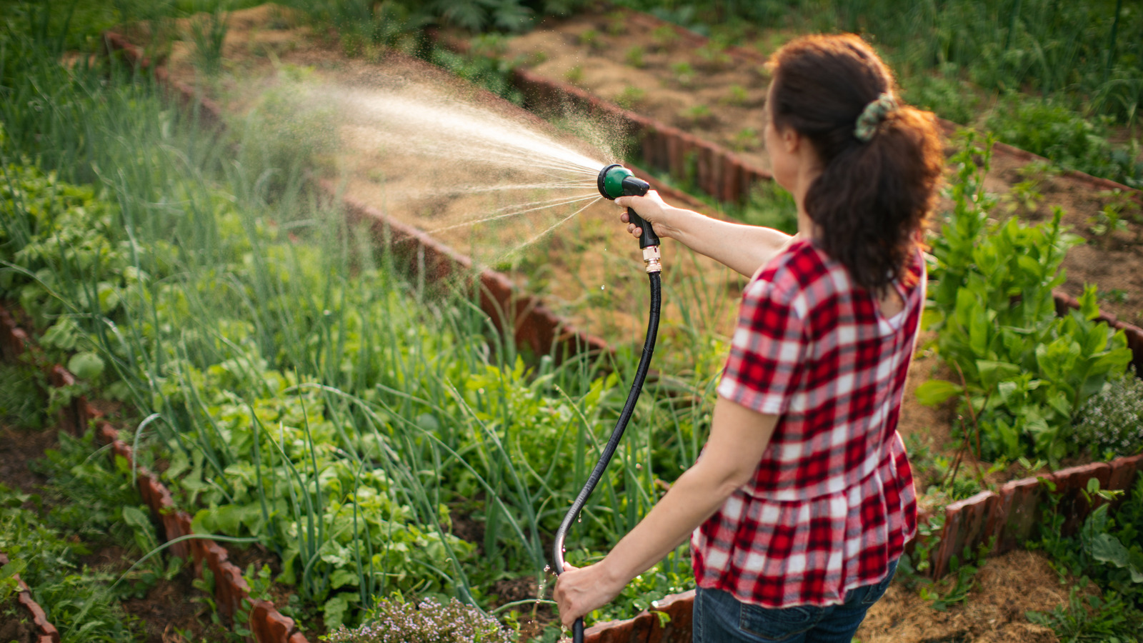 3 Raspberry Pi Projects That Could Be Useful For An Open Garden