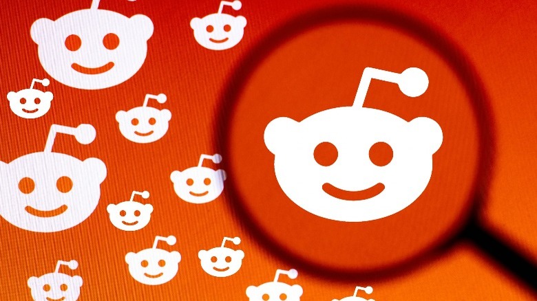 Person using Reddit