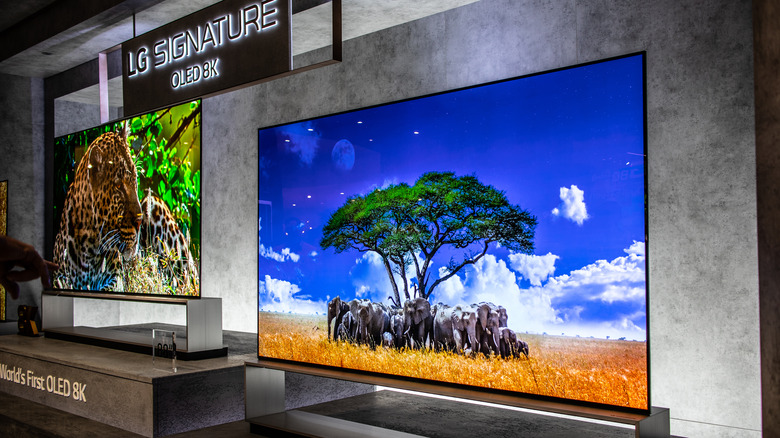 LG OLED TVs on display
