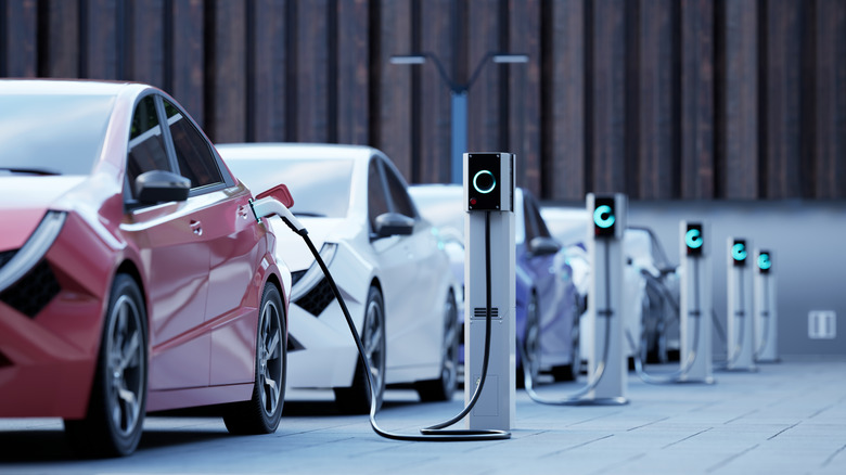 Row of EVs plugged into charging stations, front-view