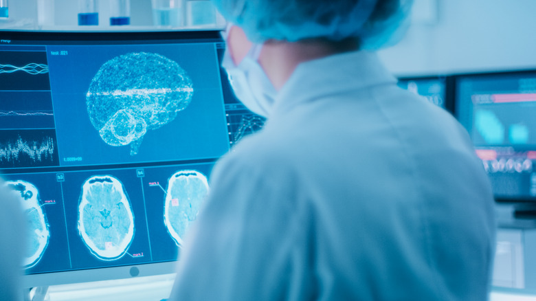 A neuroscientist at work