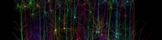 8C9538671-131030-brainphoto-hmed-1010a-files.blocks_desktop_medium