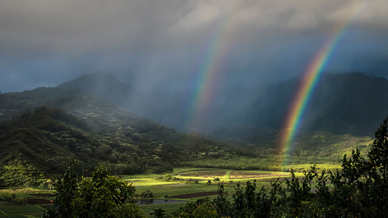 double rainbow over field