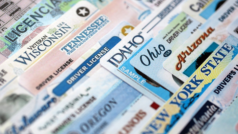 Big amount of driving licenses from different U.S. states