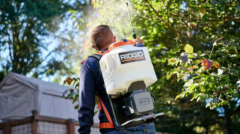 Ridgid backpack sprayer in use