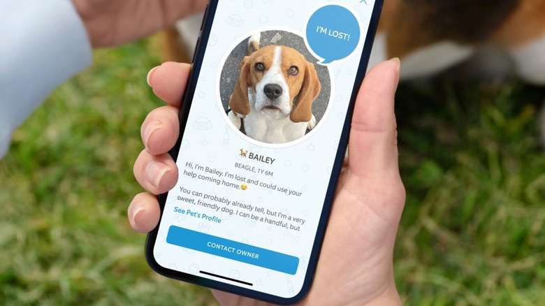 Pet Profile Ring app