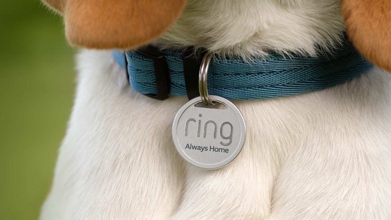 Ring Pet Tag tracker