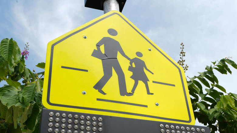 A bright yellow school zone sign with trees in the background