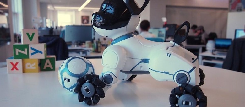Robot dog CHiP is like the spiritual successor to Sony's Aibo