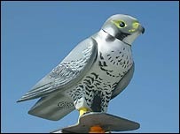 Robop robotic peregrine falcon