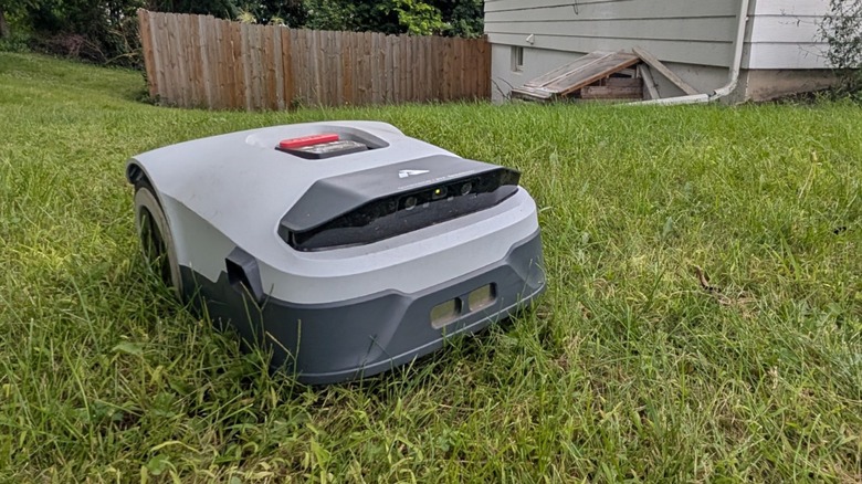 Robotic lawn mower on green grass in front of fence.