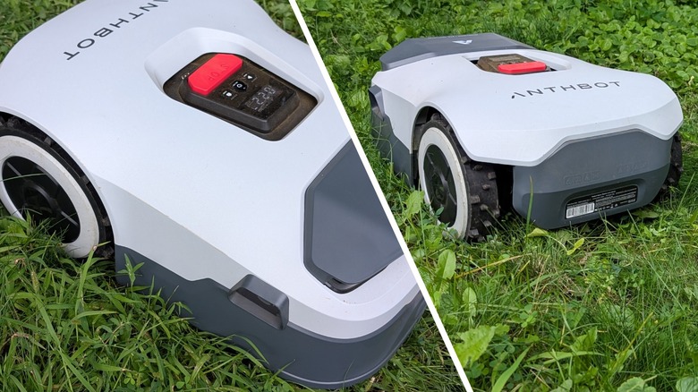 Robot lawn mower mowing grass.