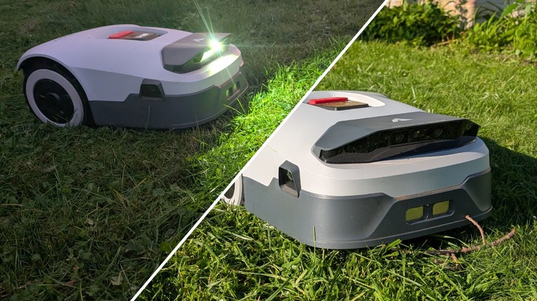 Robot lawn mower in green grass.
