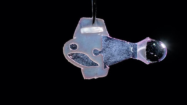 Biohybrid zebrafish