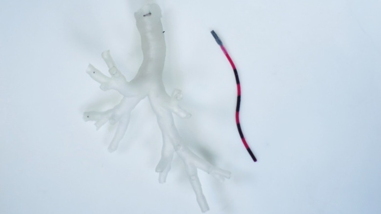 Tentacle robot with lung model