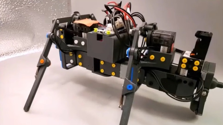 Reconfigurable ant robot