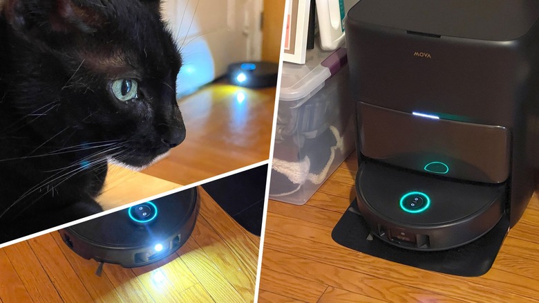 Cat and robot vacuum in apartment together.