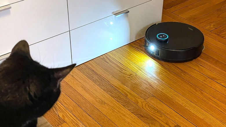 Mova V50 Ultra Complete cleaning the floor while a grey cat watches cautiously.