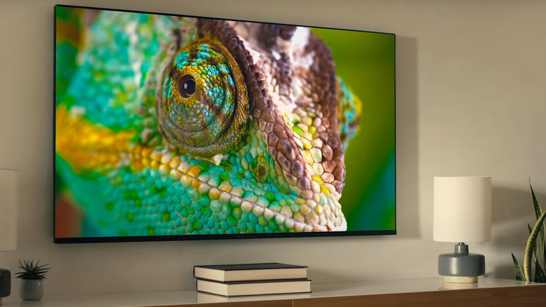 chameleon on Roku TV wall mounted