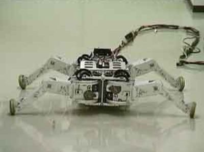 roller-walker robot