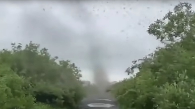 mosquito tornado 