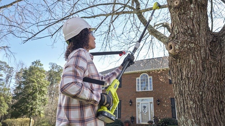 Woman cutting tree limb with pole saw