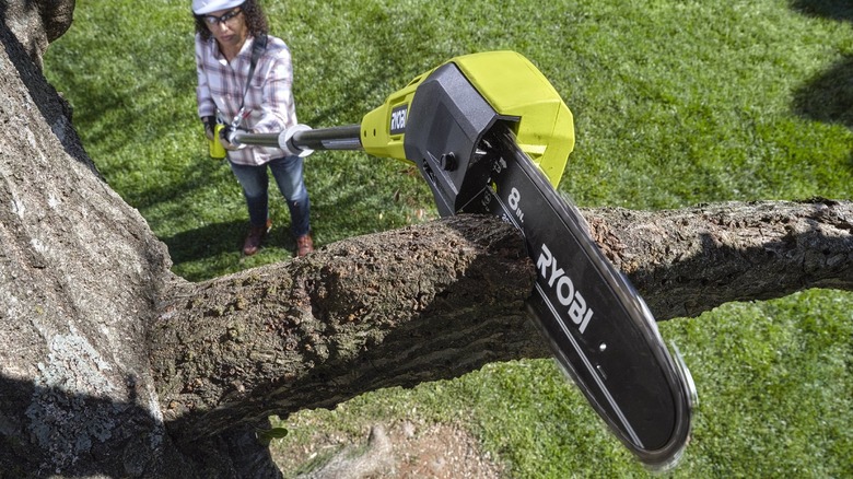 Woman cuttin tree limb with pole saw