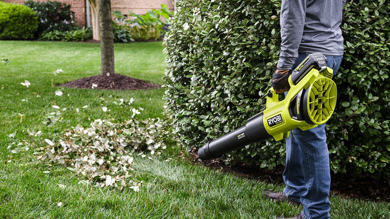 Using Ryobi leaf blower on lawn
