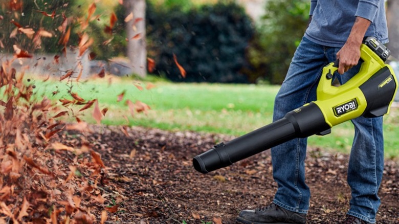 person using blower to clean up leaves