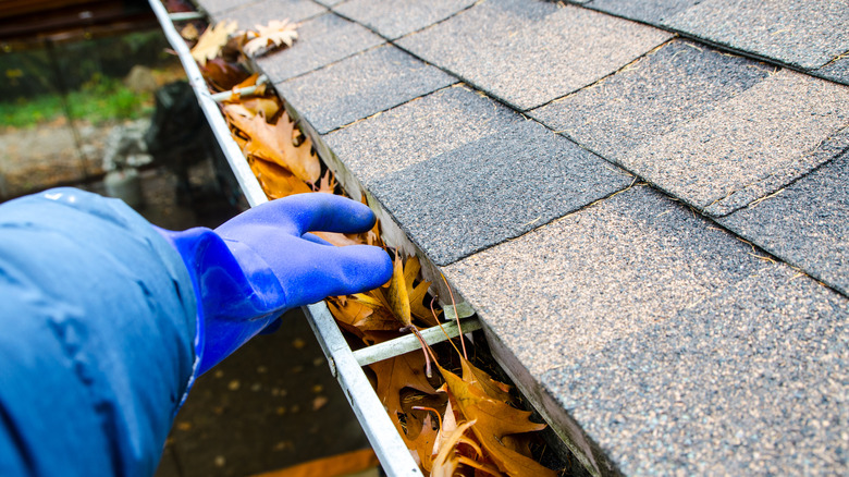 person reaching into a gutter