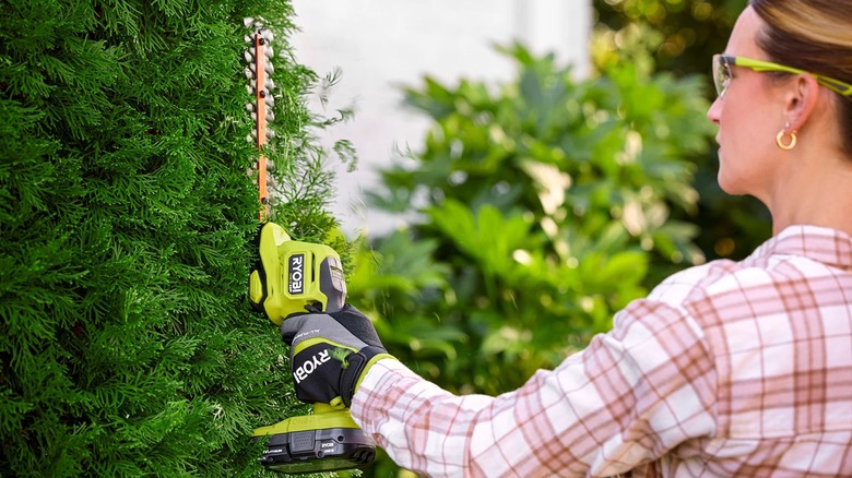 Ryobi 18V One+ Compact Shear/Shrubber in use