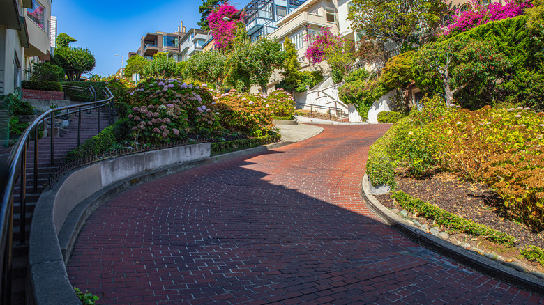 View from the bottom of San Francisco's Lombard Street.