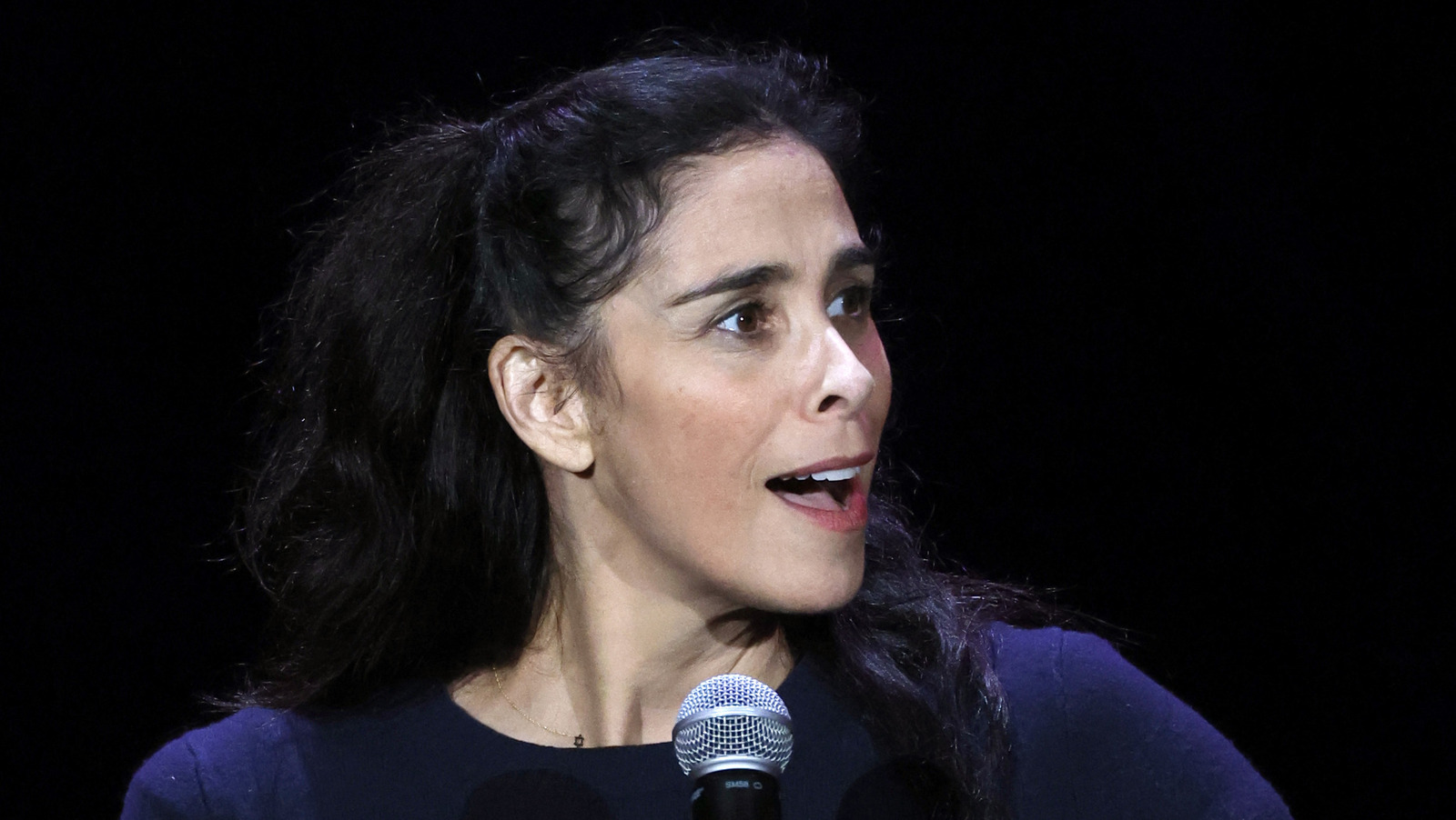 Sarah Silverman Sues ChatGPT’s Creator Over Alleged Copyright Infringement – SlashGear