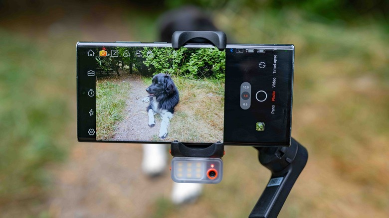 The Hohem iSteady V3 Ultra with a smartphone filming a dog.