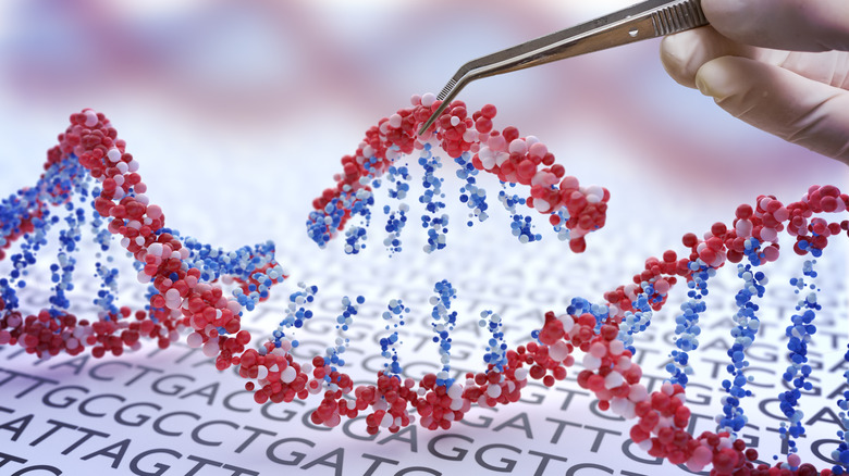 Genetic engineering