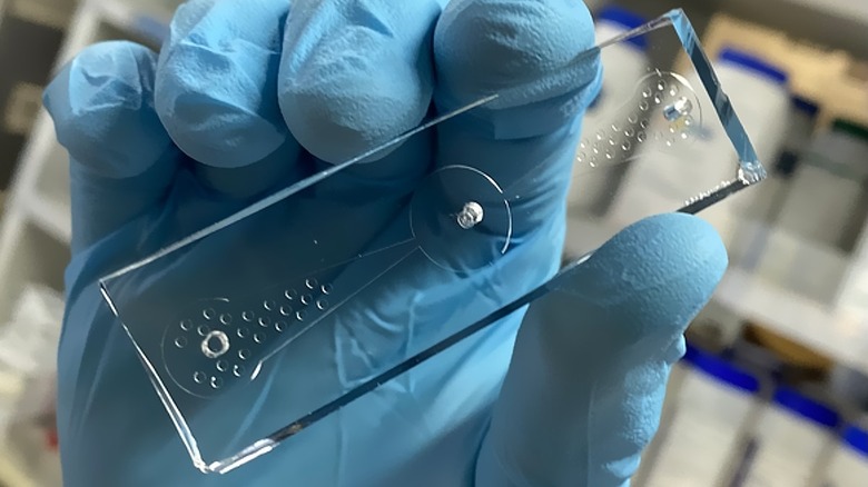 Worm on chip device