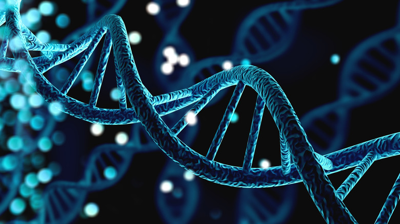 Strand of human DNA