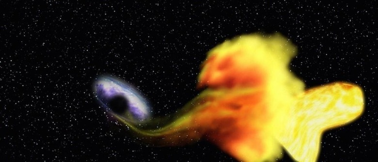 Scientists discover star-swallowing black hole