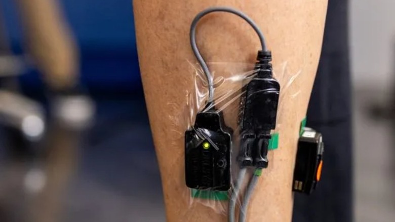 Measuring metabolic activity in the soleus muscle. 