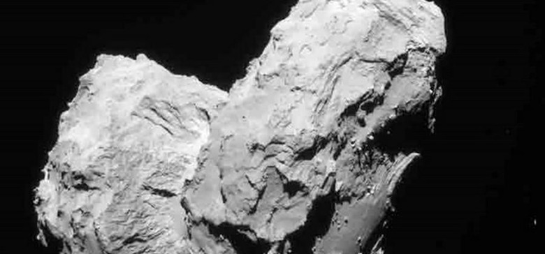 rosetta