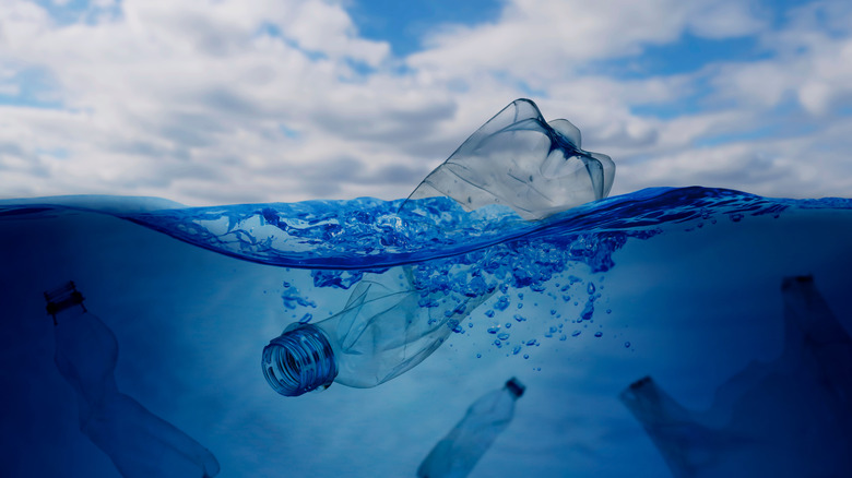 Plastic bottles floating on the surface of the ocean.