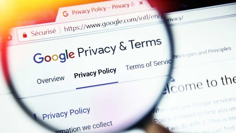 concept of Privacy terms on Google website magnified with magnifying glass