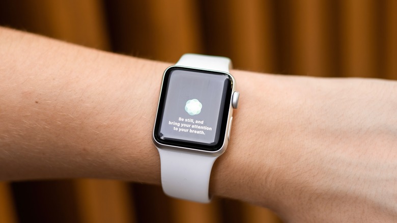 Breathe reminder on Apple Watch