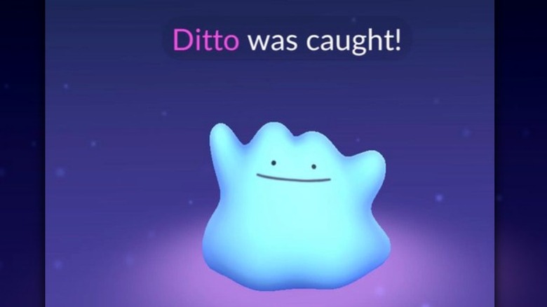 Ditto