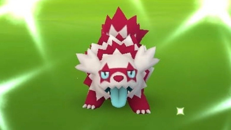 Galarian Zigzagoon