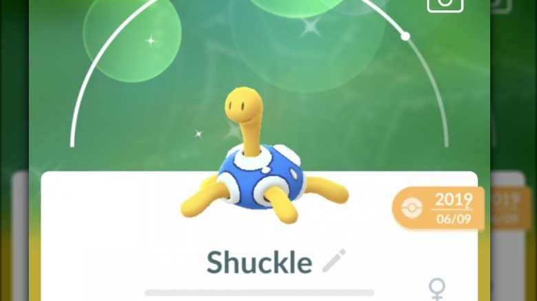 Shuckle