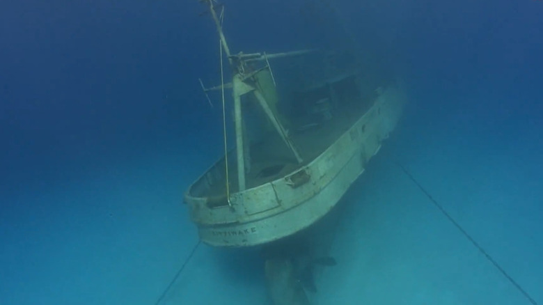 Kittiwake Shipwreck