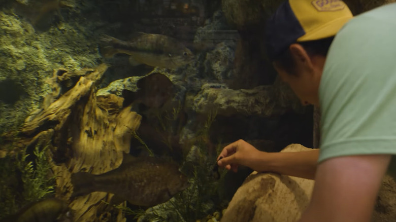 YouTuber FishingWithNorm holds up a lure to a Bass Pro Shops aquarium to see if it catches the eye.