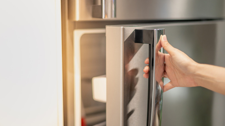 Close-up of a hand opening a refrigerator door