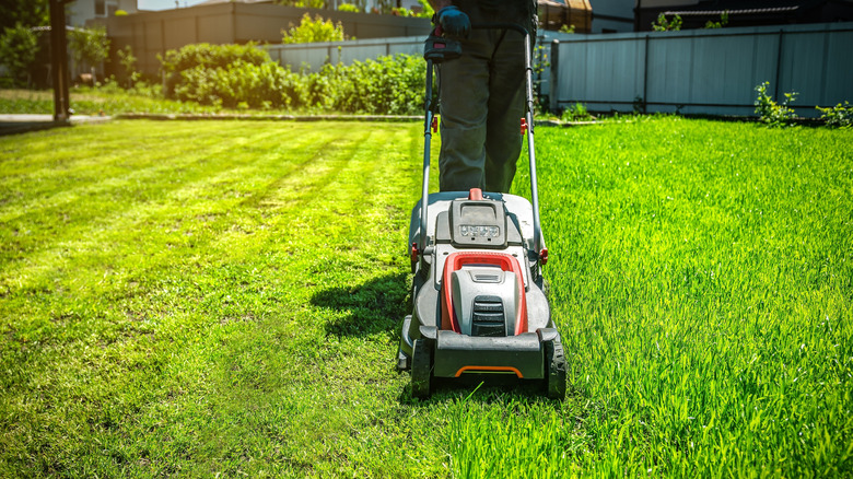 A man mowing his yard with a walk-behind mower